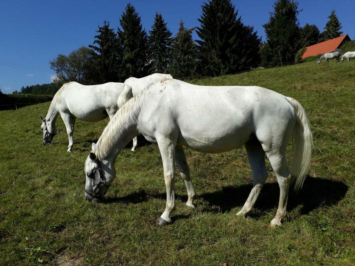 Landhaus Piber Kültér fotó
